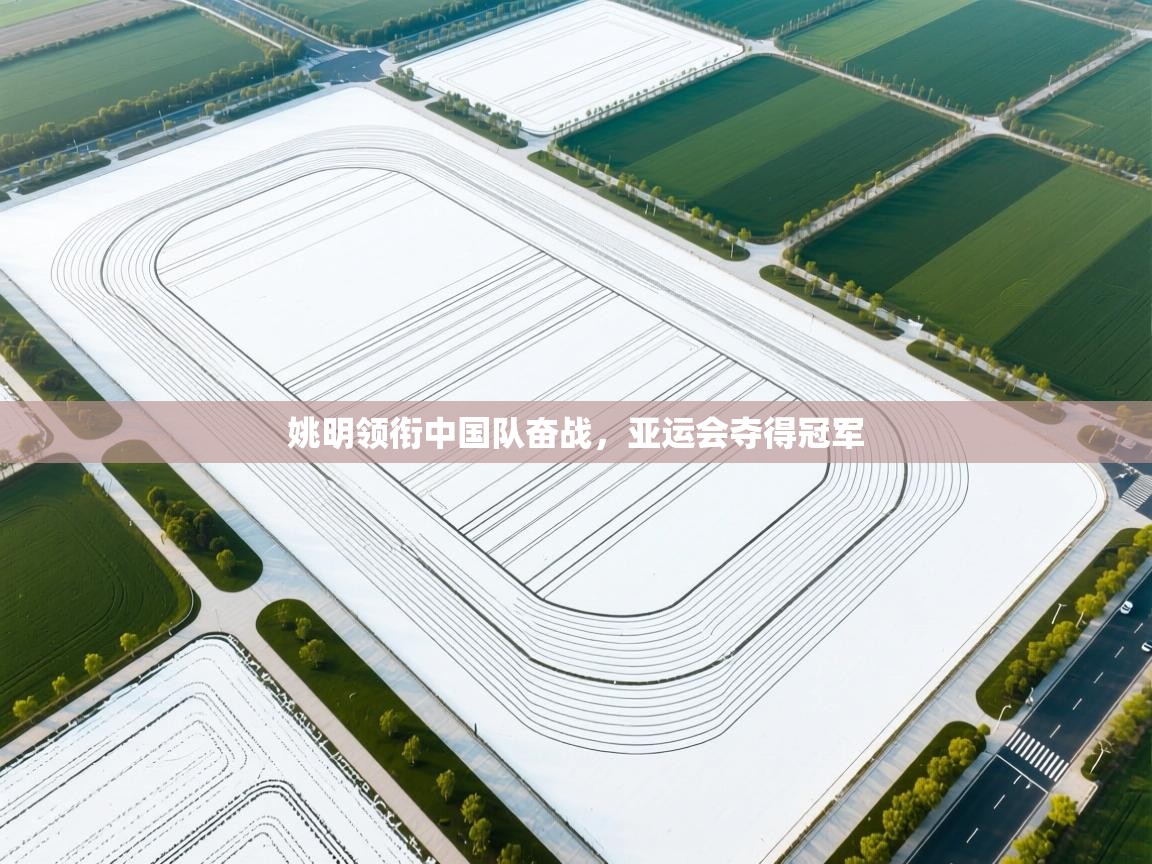 云开体育app网页版入口-姚明领衔中国队奋战,亚运会夺得冠军 第2张