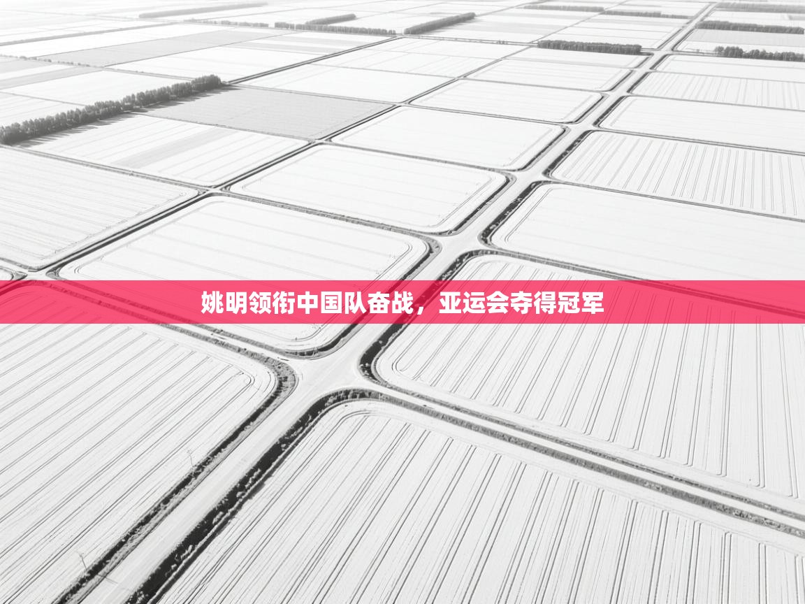 云开体育app网页版入口-姚明领衔中国队奋战,亚运会夺得冠军 第3张