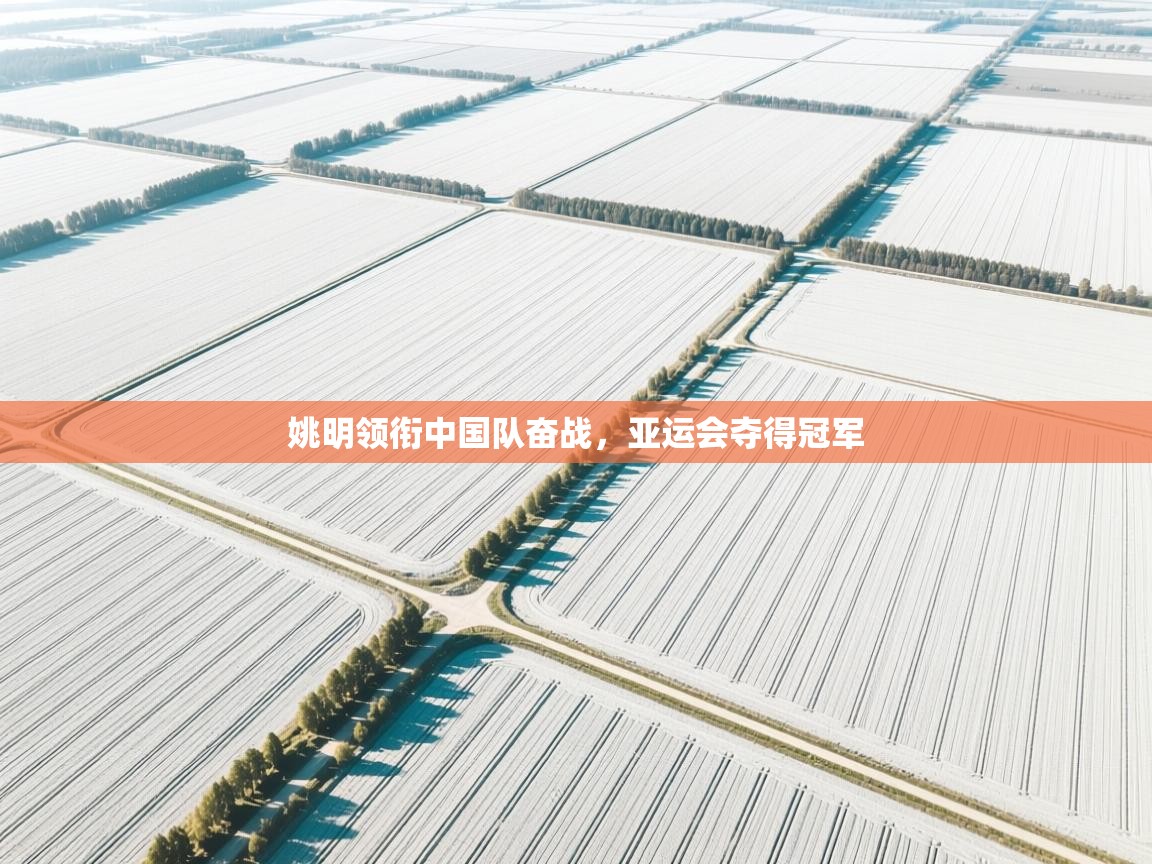 云开体育app网页版入口-姚明领衔中国队奋战,亚运会夺得冠军 第4张