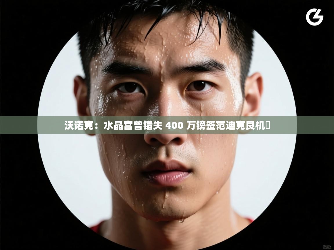 开云体育修改登录密码-沃诺克:水晶宫曾错失 400 万镑签范迪克良机 第2张