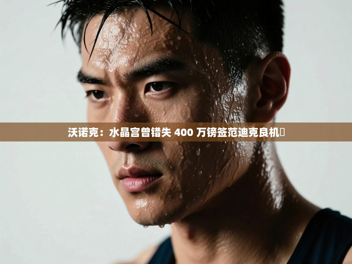 开云体育修改登录密码-沃诺克:水晶宫曾错失 400 万镑签范迪克良机 第4张