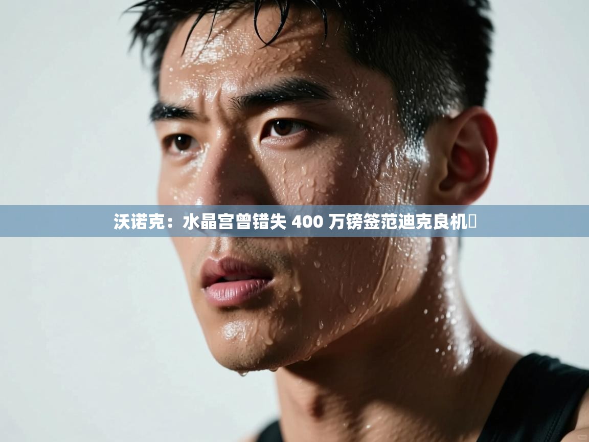 开云体育修改登录密码-沃诺克:水晶宫曾错失 400 万镑签范迪克良机 第3张