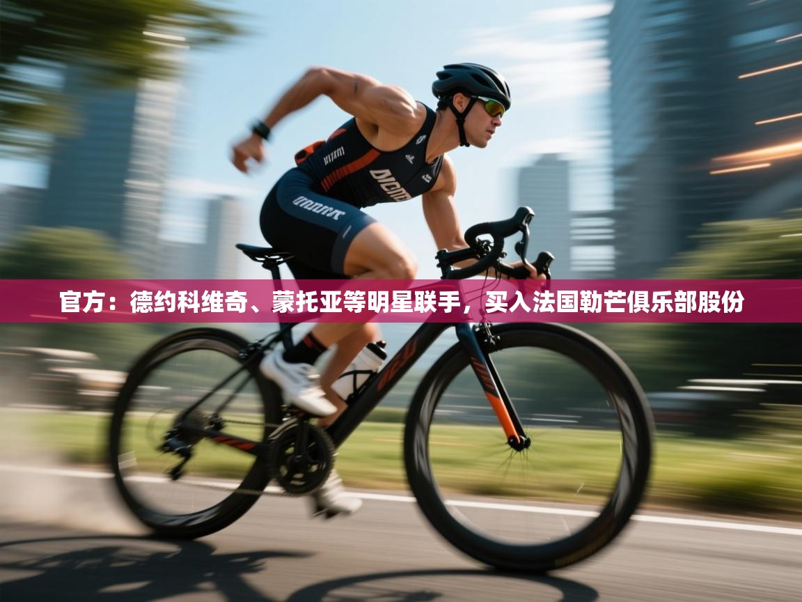开云体育旧版下载地址-官方：德约科维奇、蒙托亚等明星联手，买入法国勒芒俱乐部股份