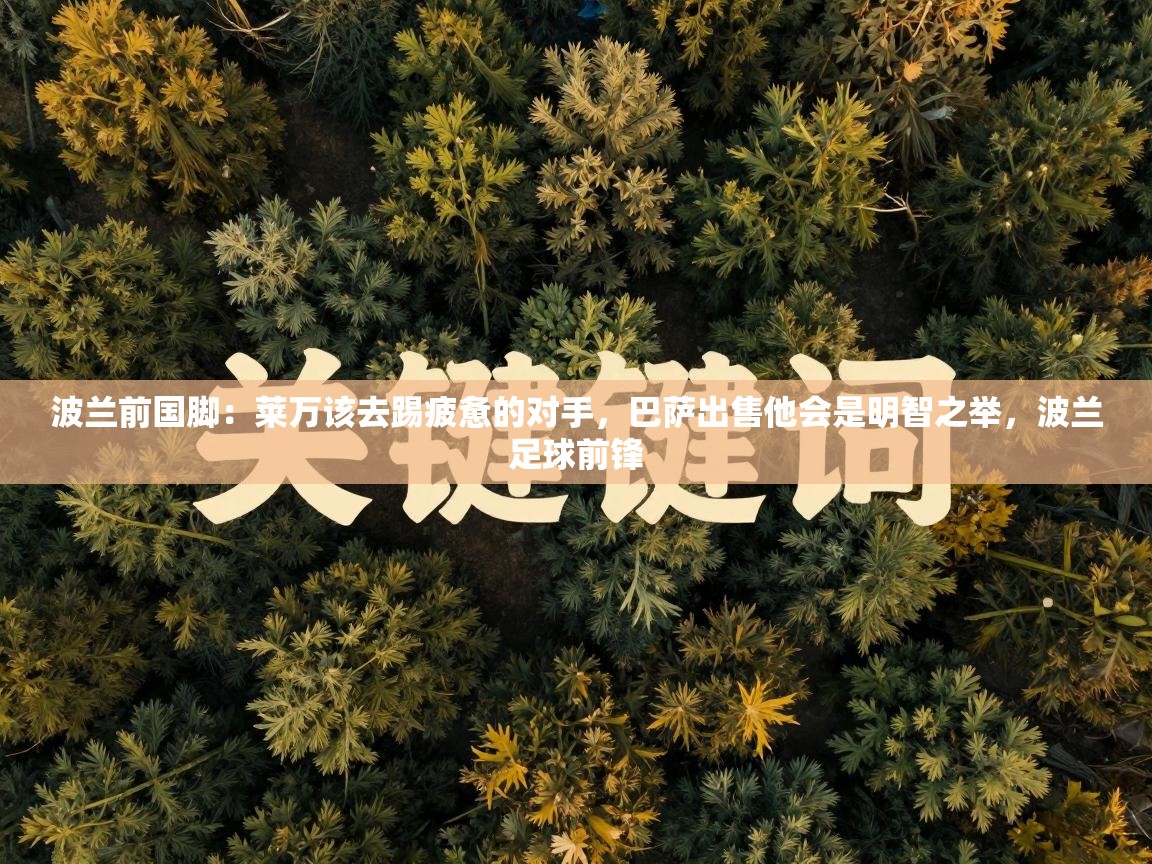 开云体育直播平台-波兰前国脚：莱万该去踢疲惫的对手，巴萨出售他会是明智之举，波兰足球前锋