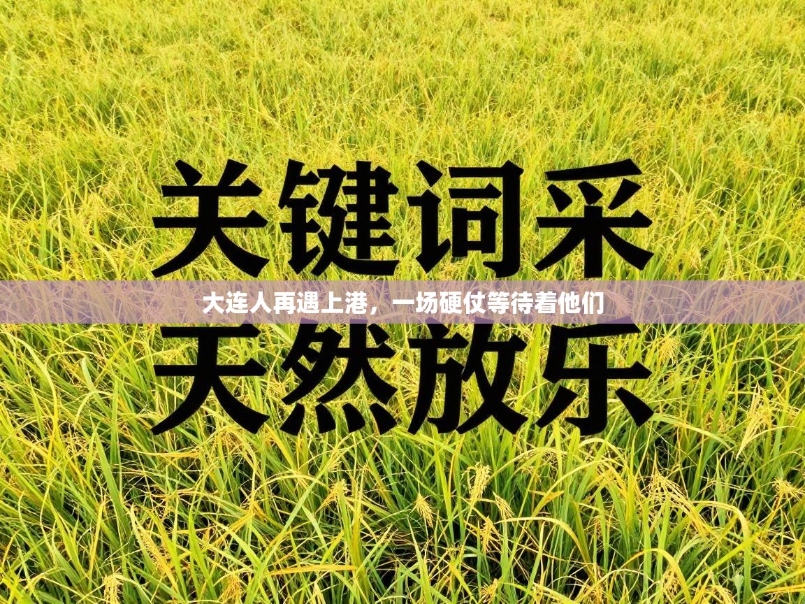 开云体育注册-大连人再遇上港，一场硬仗等待着他们  第2张