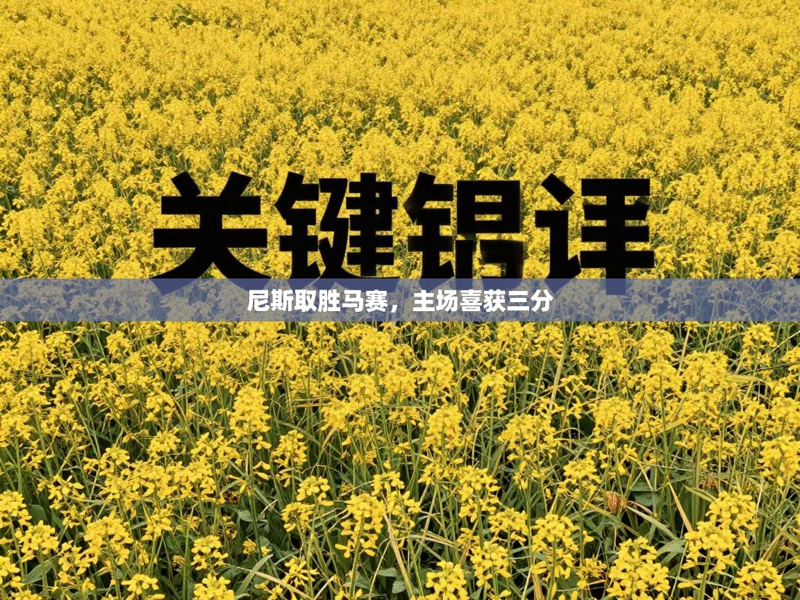 开云体育推送通知设置-尼斯取胜马赛，主场喜获三分  第3张