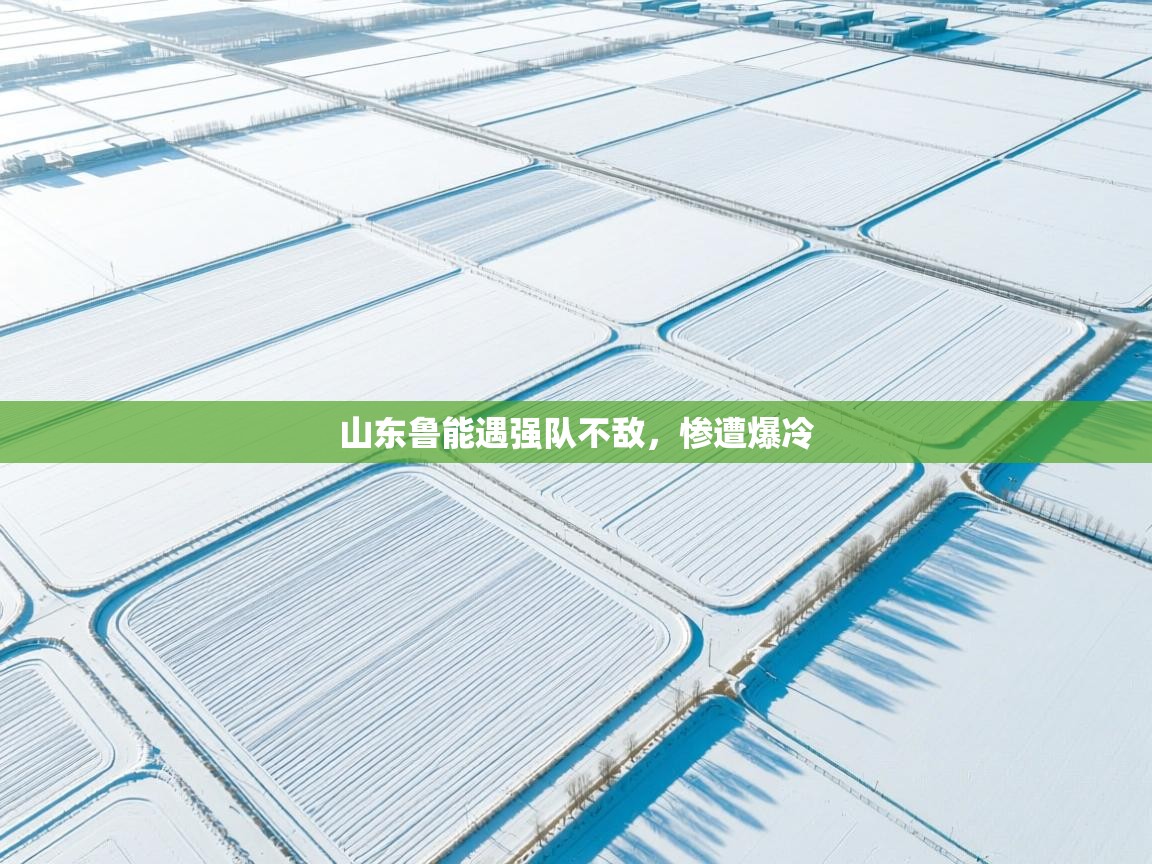 开云体育下载-山东鲁能遇强队不敌，惨遭爆冷