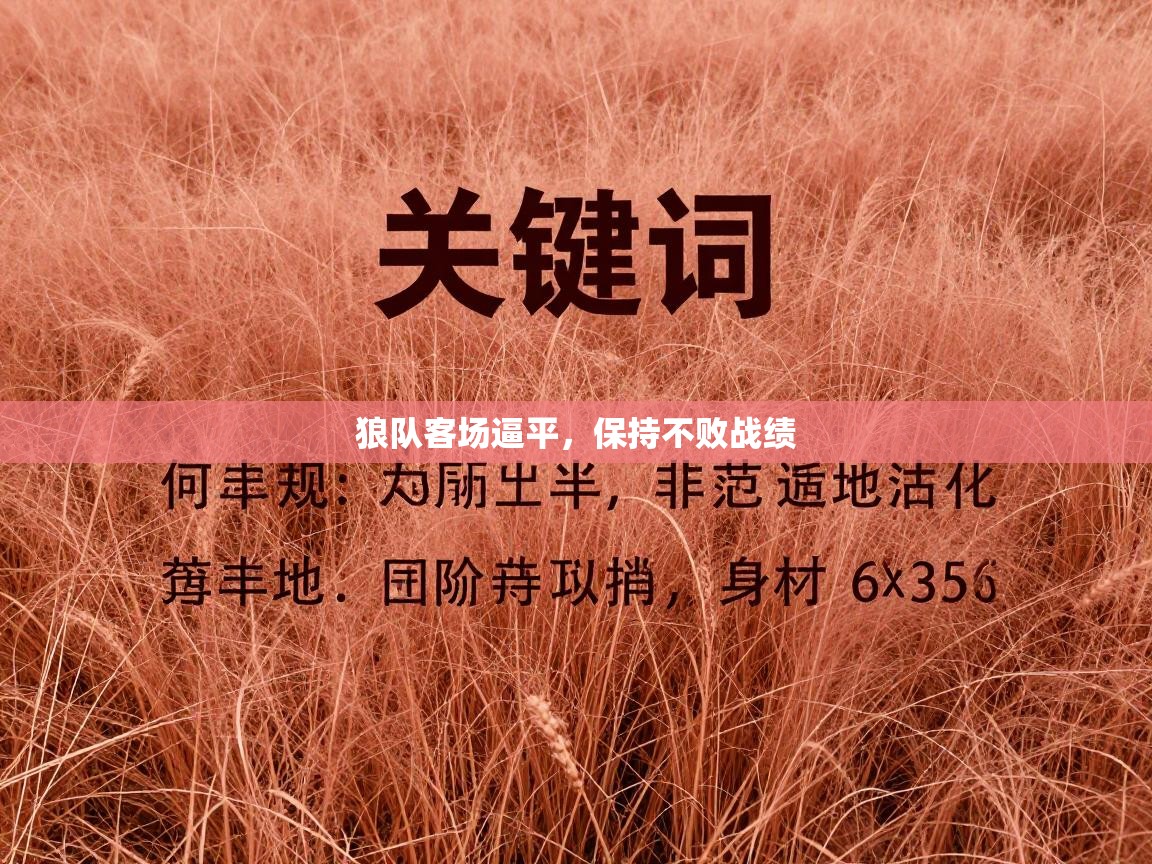 开云体育入口网址-狼队客场逼平，保持不败战绩  第3张