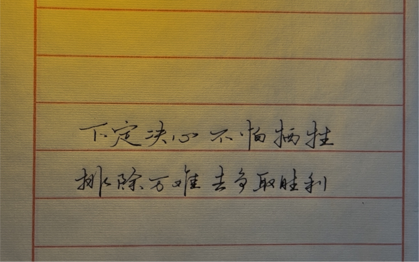 里昂实力不容小觑，争取胜利的简单介绍